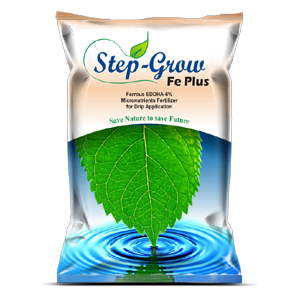 step grow fe pluse